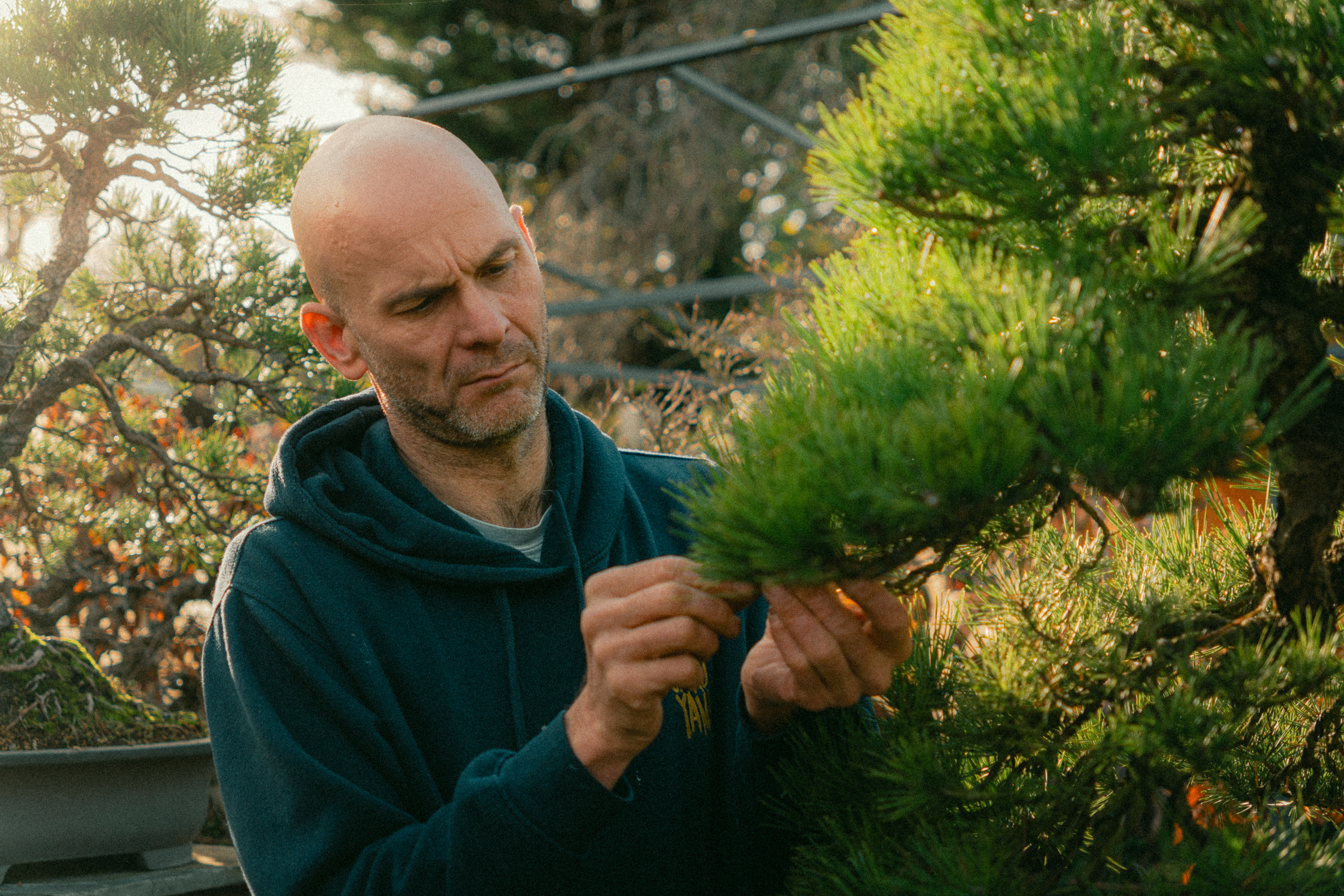 Portrait Photography